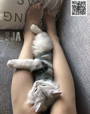 男男巨肉啪啪动漫3d_4K在线视频播放